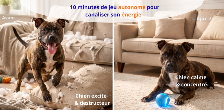 10 minutes de jeu. Des heures de calme. Sans rien faire de plus.