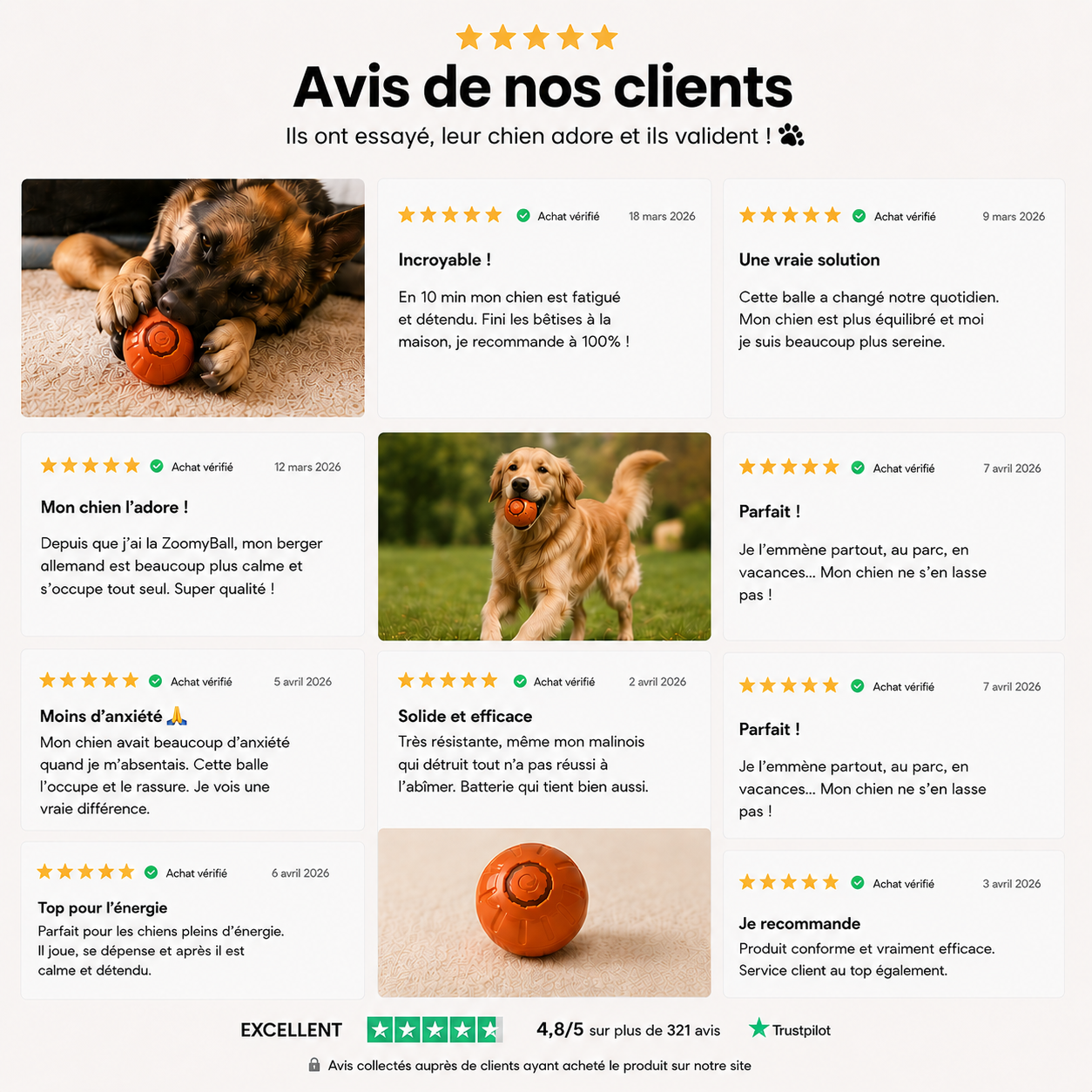 ZoomyBall – Balle interactive pour chien