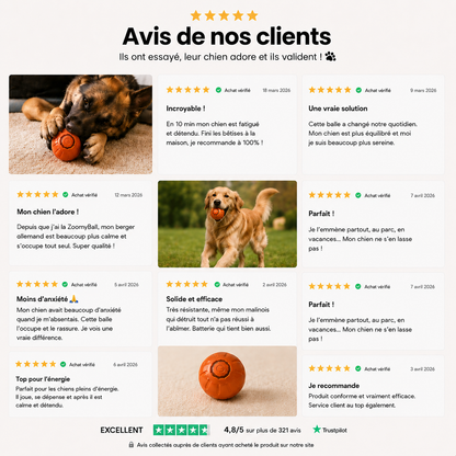 ZoomyBall – Balle interactive pour chien
