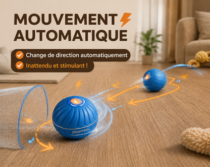 ZoomyBall – Balle interactive pour chien