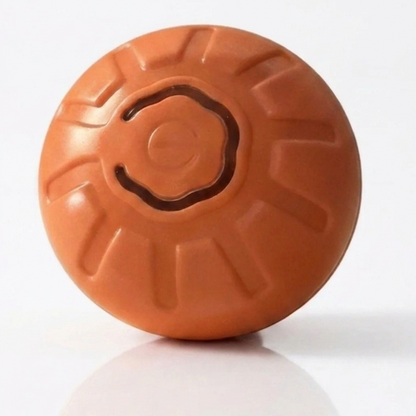 ZoomyBall – Balle interactive pour chien