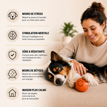 ZoomyBall – Balle interactive pour chien